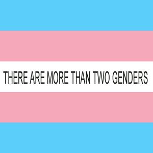 Transphobia